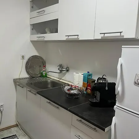Luxury Vila